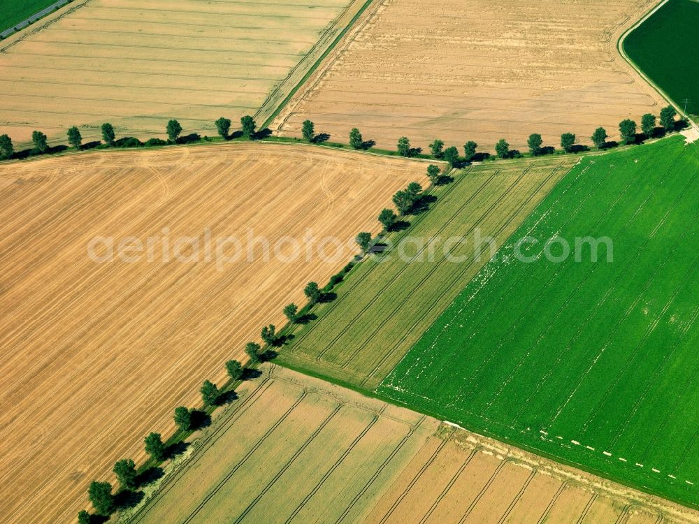 Aerial photograph Goslar - Landscape structures of harvested fields with rows of trees near Goslar in Lower Saxony