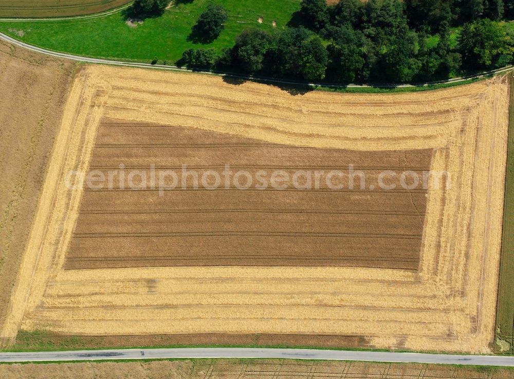 Aerial photograph Angermünde - View of field structures near Angermuende in the state Brandenburg