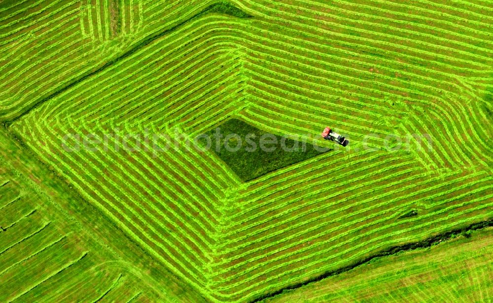 Aerial image Angermünde - View of field structures near Angermuende in the state Brandenburg