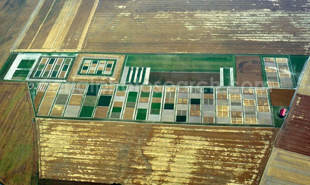 Angermünde from the bird's eye view: View of field structures near Angermuende in the state Brandenburg