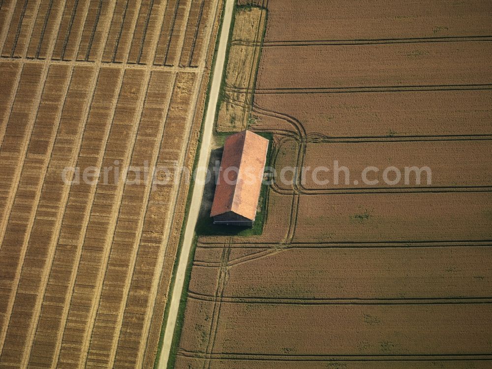 Aerial image Angermünde - View of field structures near Angermuende in the state Brandenburg