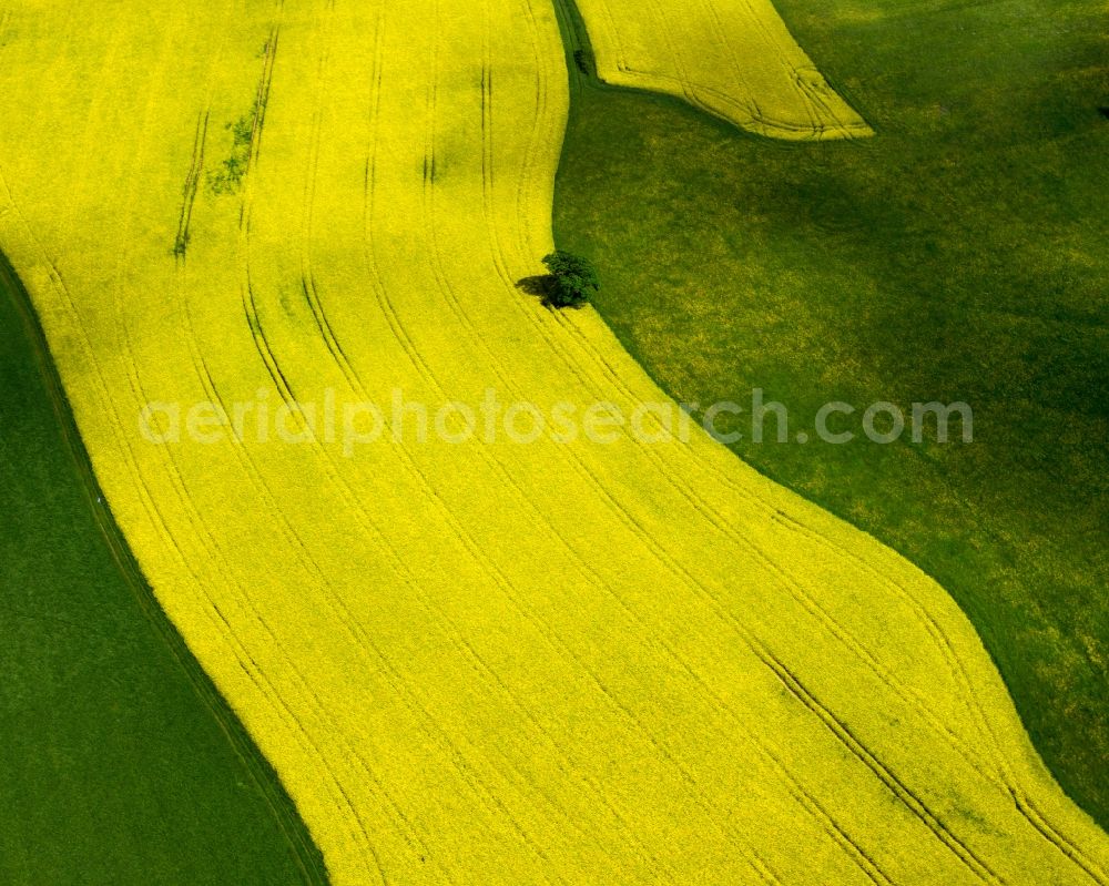 Burg from the bird's eye view: View of field structures near Burg in the state Saxony-Anhalt