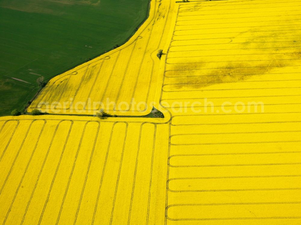 Burg from the bird's eye view: View of field structures near Burg in the state Saxony-Anhalt