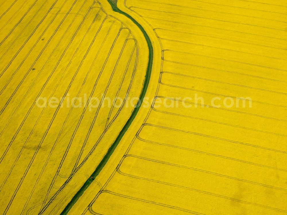 Aerial image Burg - View of field structures near Burg in the state Saxony-Anhalt