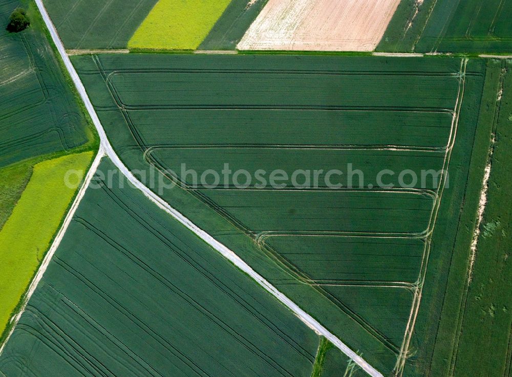 Aerial photograph Dieburg - View of field structures near Dieburg in the state Hesse