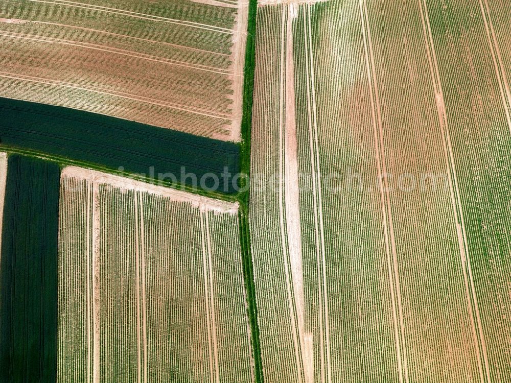 Dieburg from above - View of field structures near Dieburg in the state Hesse