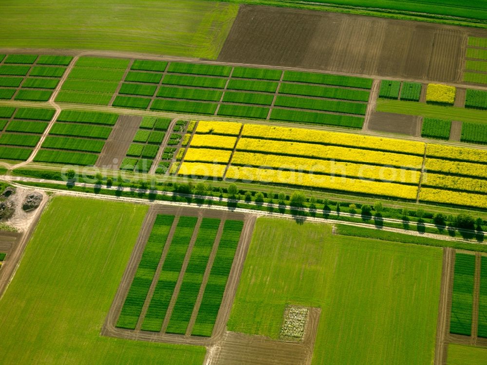 Aerial photograph Dornburg - View of field structures near Dornburg in the state Hesse