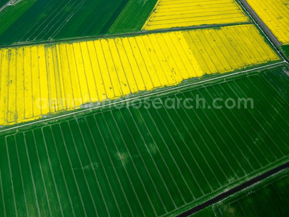 Emden from the bird's eye view: View of field structures near Emden in the state Lower Saxony