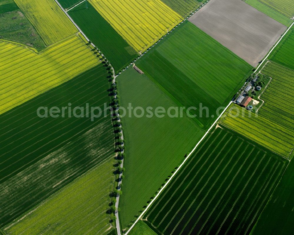 Aerial photograph Emmerich am Rhein - View of field structures near Emmerich am Rhein in the state North Rhine-Westphalia