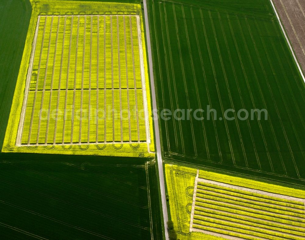 Emmerich am Rhein from the bird's eye view: View of field structures near Emmerich am Rhein in the state North Rhine-Westphalia