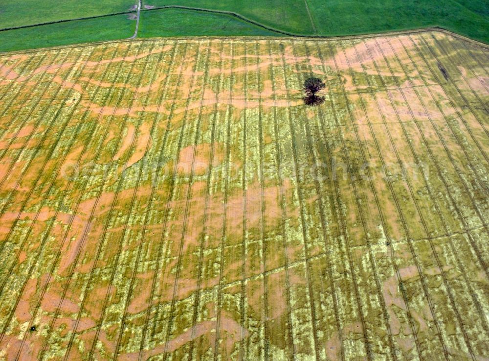 Aerial image Großenhain - View of field structures near Grossenhain in the state Saxony