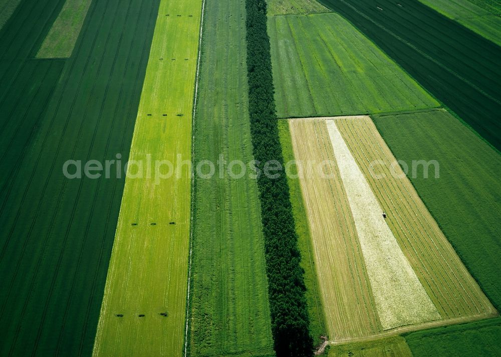 Aerial photograph Wewelsfleth OT Grosswisch - View of field structures near Grosswisch in Wewelsfleth in the state Schleswig-Holstein