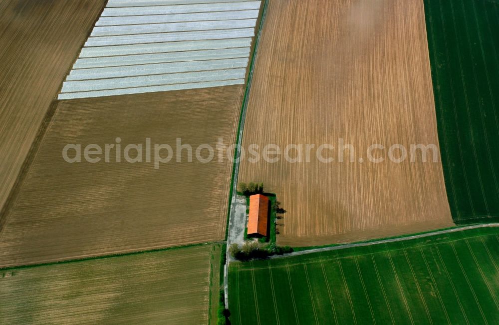 Wewelsfleth OT Grosswisch from above - View of field structures near Grosswisch in Wewelsfleth in the state Schleswig-Holstein