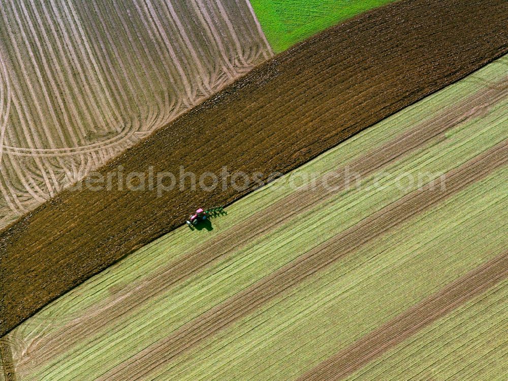 Wewelsfleth OT Grosswisch from the bird's eye view: View of field structures near Grosswisch in Wewelsfleth in the state Schleswig-Holstein