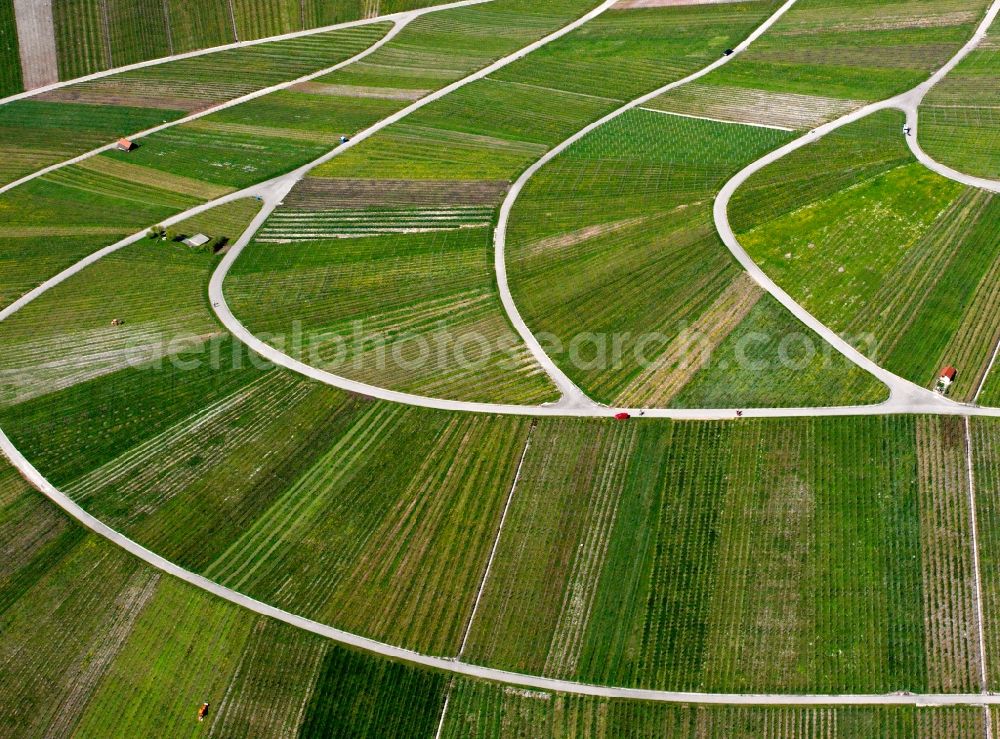 Wewelsfleth OT Grosswisch from the bird's eye view: View of field structures near Grosswisch in Wewelsfleth in the state Schleswig-Holstein