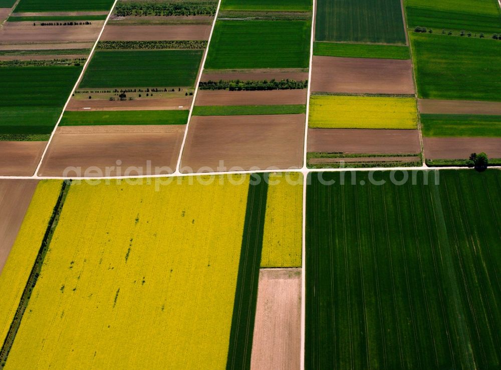 Aerial image Wewelsfleth OT Grosswisch - View of field structures near Grosswisch in Wewelsfleth in the state Schleswig-Holstein