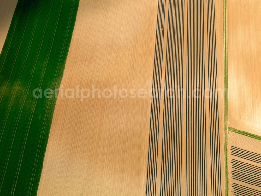 Hausen bei Würzburg from the bird's eye view: View of field structures near hausen in the state Bavaria