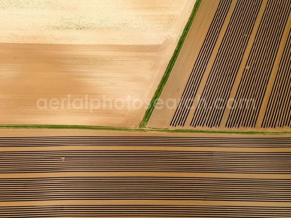 Aerial photograph Hausen bei Würzburg - View of field structures near hausen in the state Bavaria