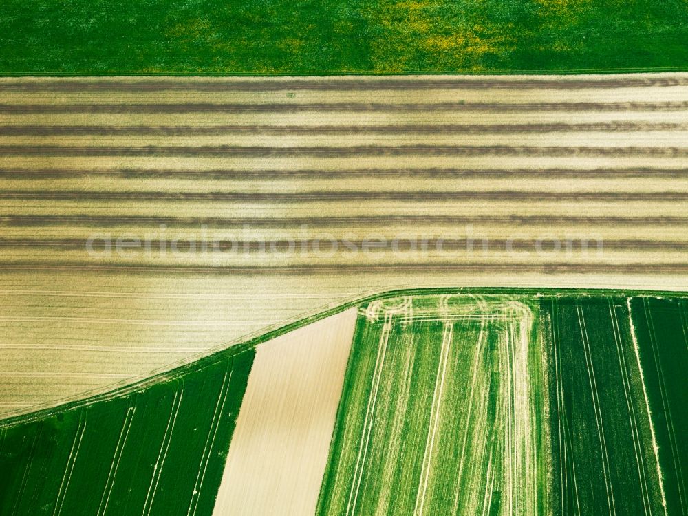 Aerial photograph Ehingen OT Heufelden - View of field structures near Heufelden in Ehingen in the state Baden-Wuerttemberg