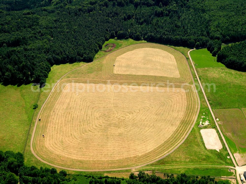 Aerial photograph Merzalben OT Kufenberg - View of field structures near Kufenberg in Merzalben in the state Rhineland-Palatinate