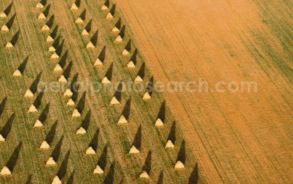 Ochsenfurt from the bird's eye view: View of field structures near Ochsenfurt in the state Bavaria