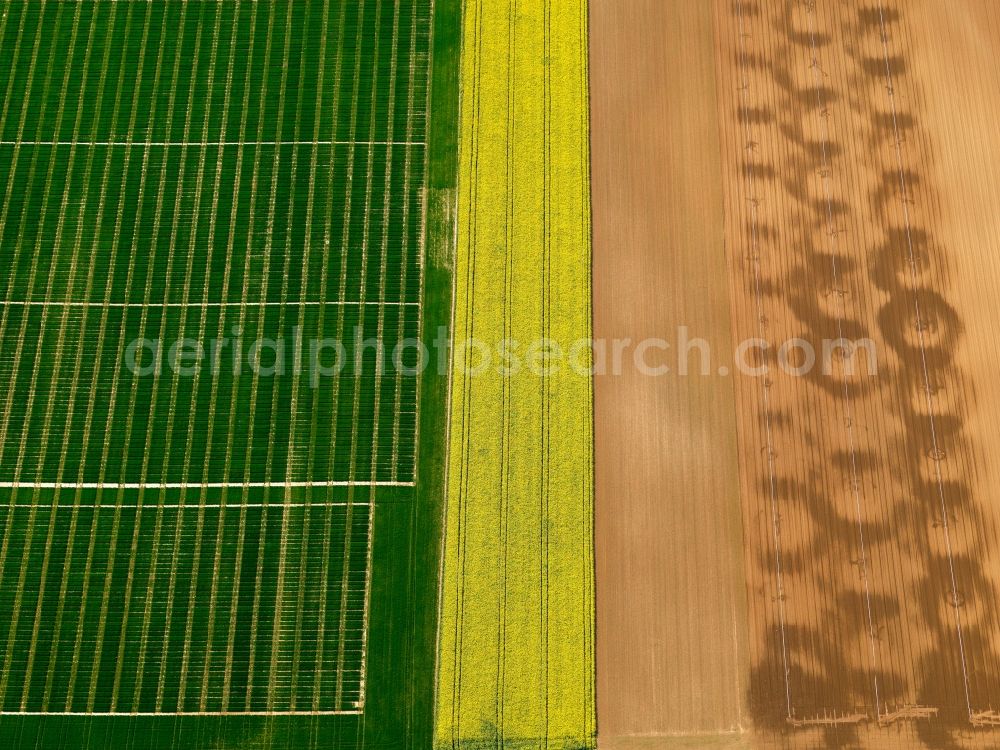 Bergtheim OT Opferbaum from above - View of field structures near Opferbaum in Bergtheim in the state Bavaria