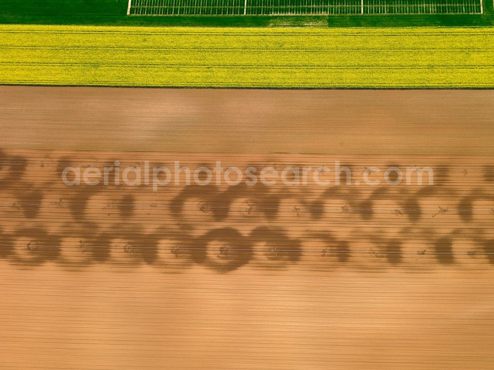 Bergtheim OT Opferbaum from the bird's eye view: View of field structures near Opferbaum in Bergtheim in the state Bavaria