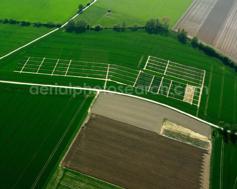 Aerial image Soest - View of field structures near Soest in the state North Rhine-Westphalia