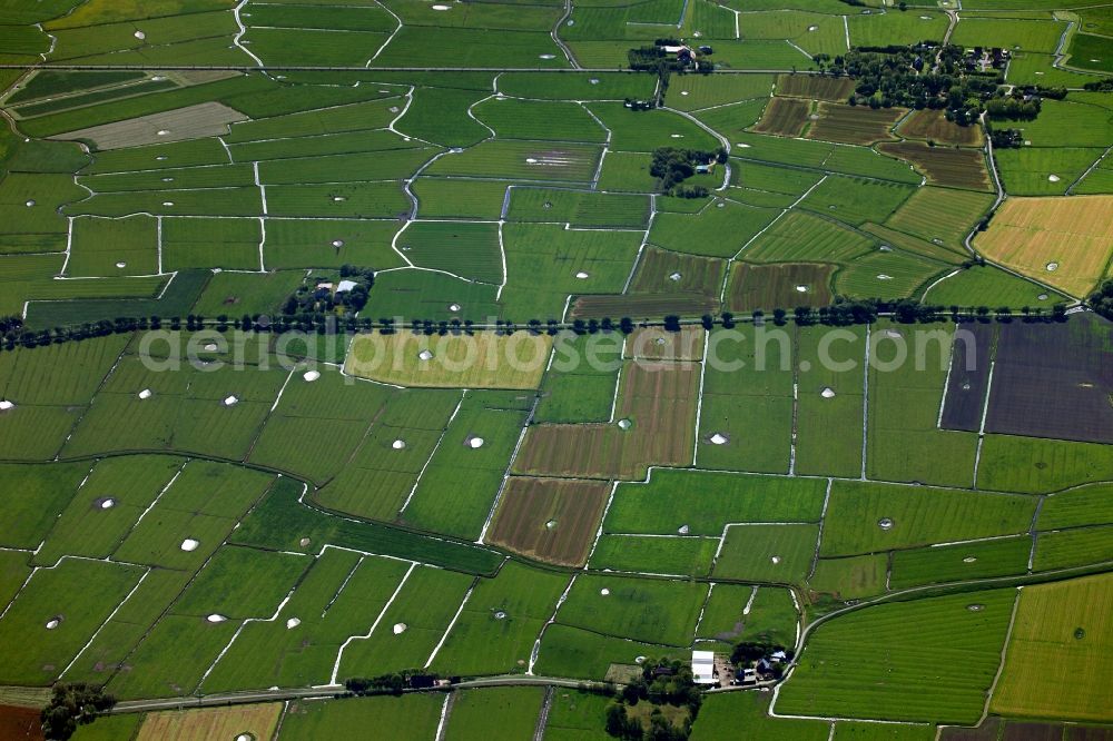 Aerial image Tönning - View of field structures near Toenning in the state Schleswig-Holstein