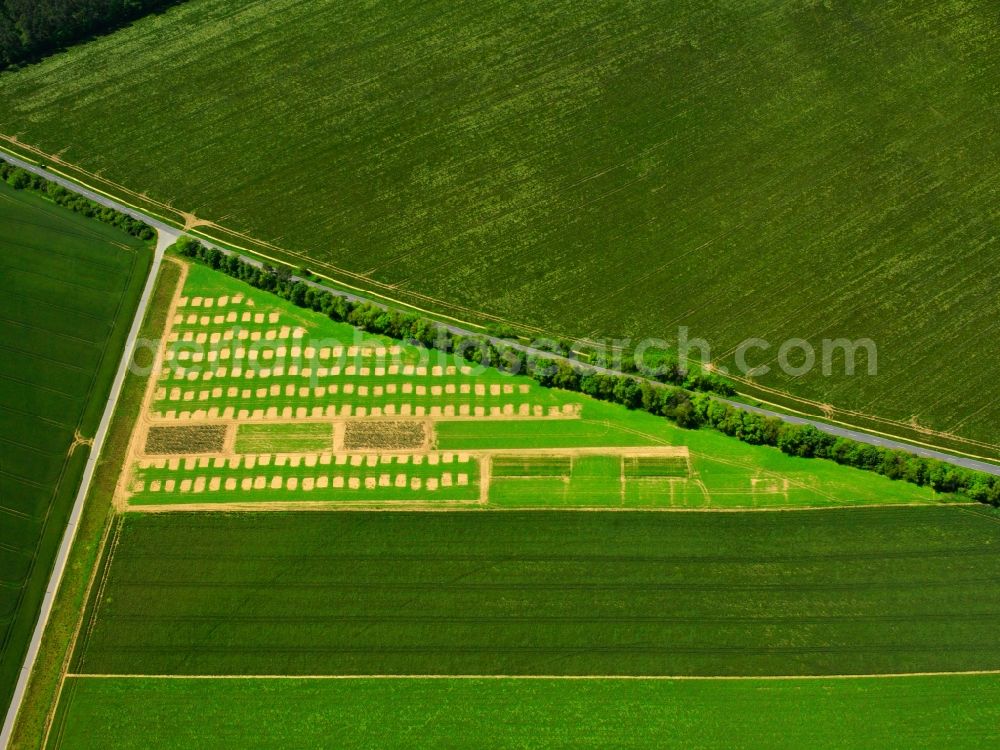 Waren (Müritz) from above - View of field structures near Waren (Mueritz) in the state Mecklenburg-West Pomerania