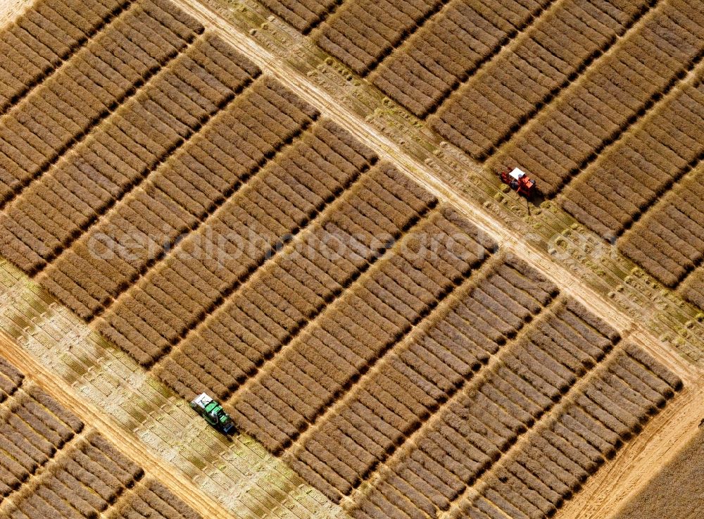 Würzburg from the bird's eye view: View of field structures near Wuerzburg in the state Bavaria