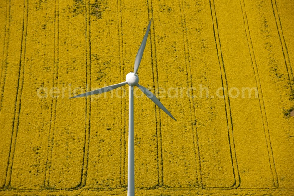 Aerial photograph Drensteinfurt - View of field structures in Drensteinfurt in the state of North Rhine-Westphalia