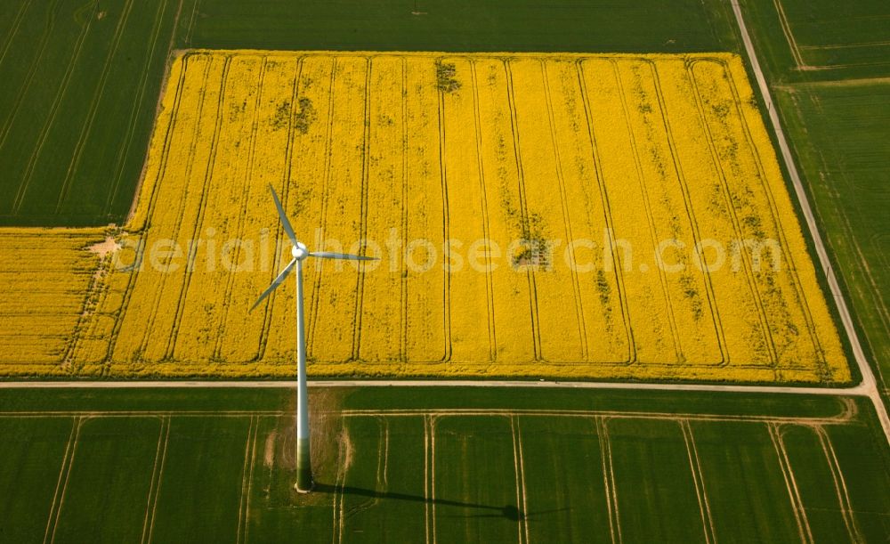 Drensteinfurt from above - View of field structures in Drensteinfurt in the state of North Rhine-Westphalia