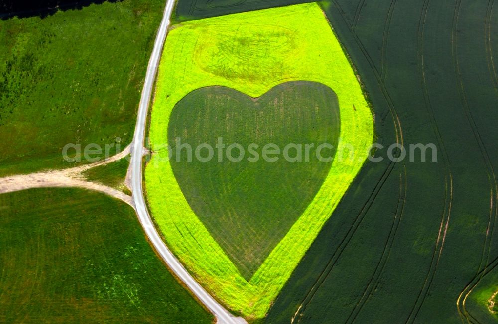 Aerial image Wewelsfleth OT Grosswisch - View of field structures with heart near Grosswisch in Wewelsfleth in the state Schleswig-Holstein