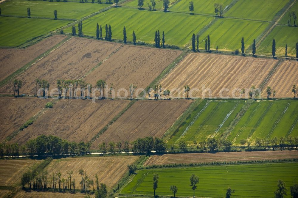 Arles from above - Field from structures Landscape at Arles in the Provence-Alpes-Cote d'Azur France