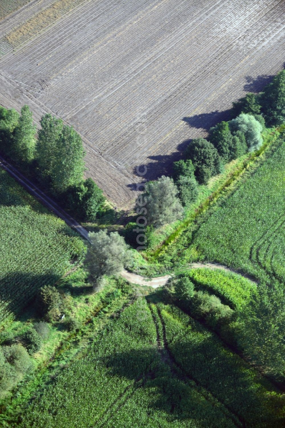 Lübtheen from above - Field landscape at Luebtheen in Mecklenburg-Western Pomerania