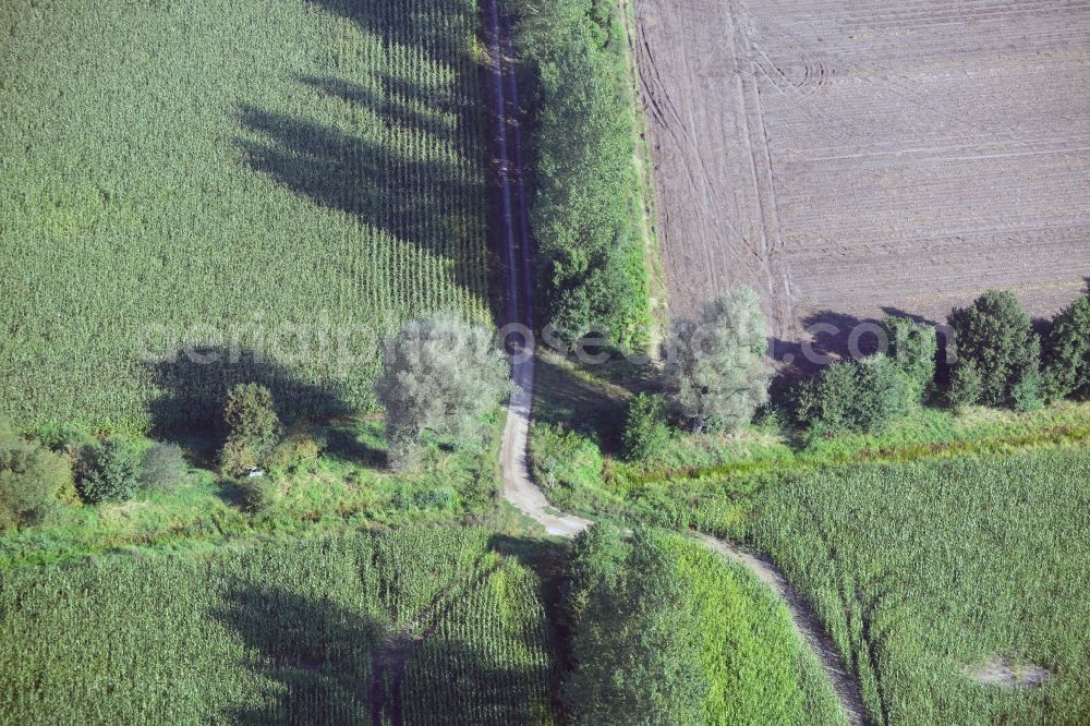 Aerial image Lübtheen - Field landscape at Luebtheen in Mecklenburg-Western Pomerania