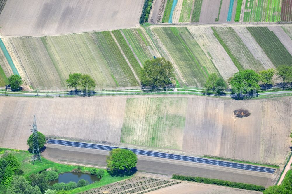 Aerial photograph Ellerbeck - Field structures in local agriculture at Ellerbeck in the state of Schleswig-Holstein