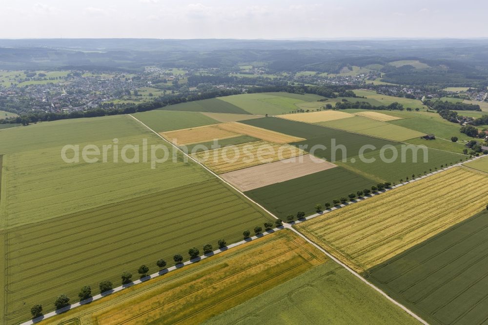 Aerial image Warstein - Field structures with rape cultivation and tree rows near mountain top home in the district, in North Rhine-Westphalia Warstein. The fields are located at the intersection of K 28 with the Aschenweg