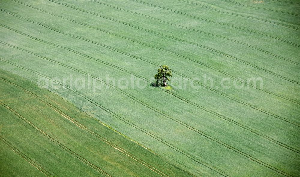 Aerial image Röbel - View of field structures in Roebel in the state of Mecklenburg-West Pomerania