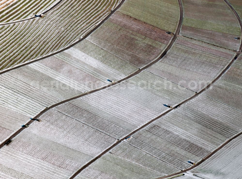 Nordheim from above - View of field structures with frost near Nordheim in the state Baden-Wuerttemberg