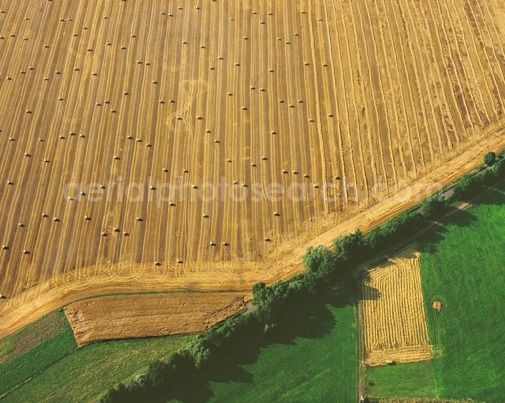 Aerial image Luckau - View of field structures with bales of straw near Luckau in the state Brandenburg