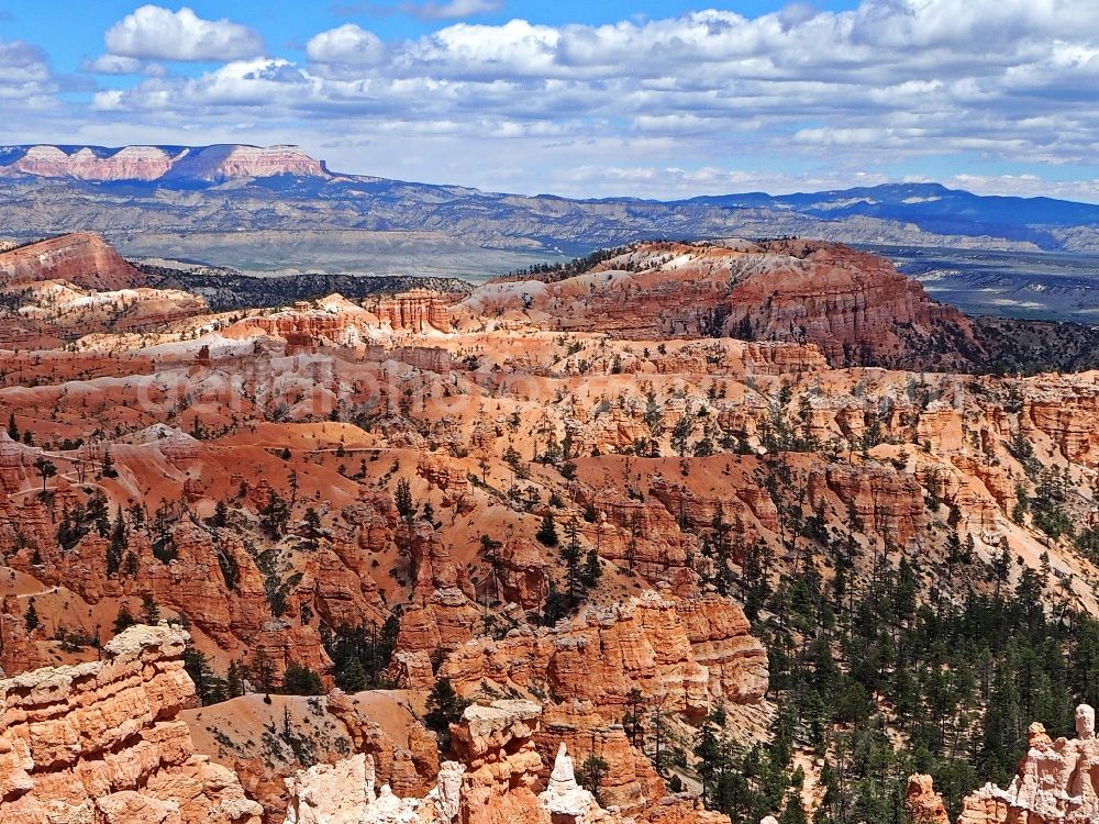 Aerial photograph Bryce - Rock and mountain landscape Bryce-Canyon-Nationalpark in Bryce in Utah, United States of America