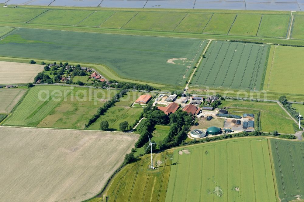 Aerial image Dornum - Holiday houses and agricultural farm on Dornumersiel on the coast of the North Sea in Dornum in the state of Lower Saxony