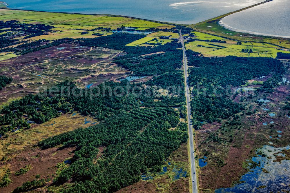 Röm from the bird's eye view: Holiday house plant of the park Toftum Wald on street Vesterhavsvej in Roem in Syddanmark, Denmark