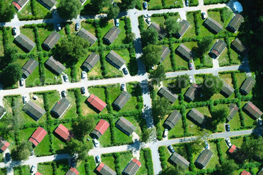 Haren (Ems) from the bird's eye view: Holiday house plant of the park Ferienzentrum Schloss Dankern on Dankernsee in the district Dankern in Haren (Ems) in the state Lower Saxony, Germany