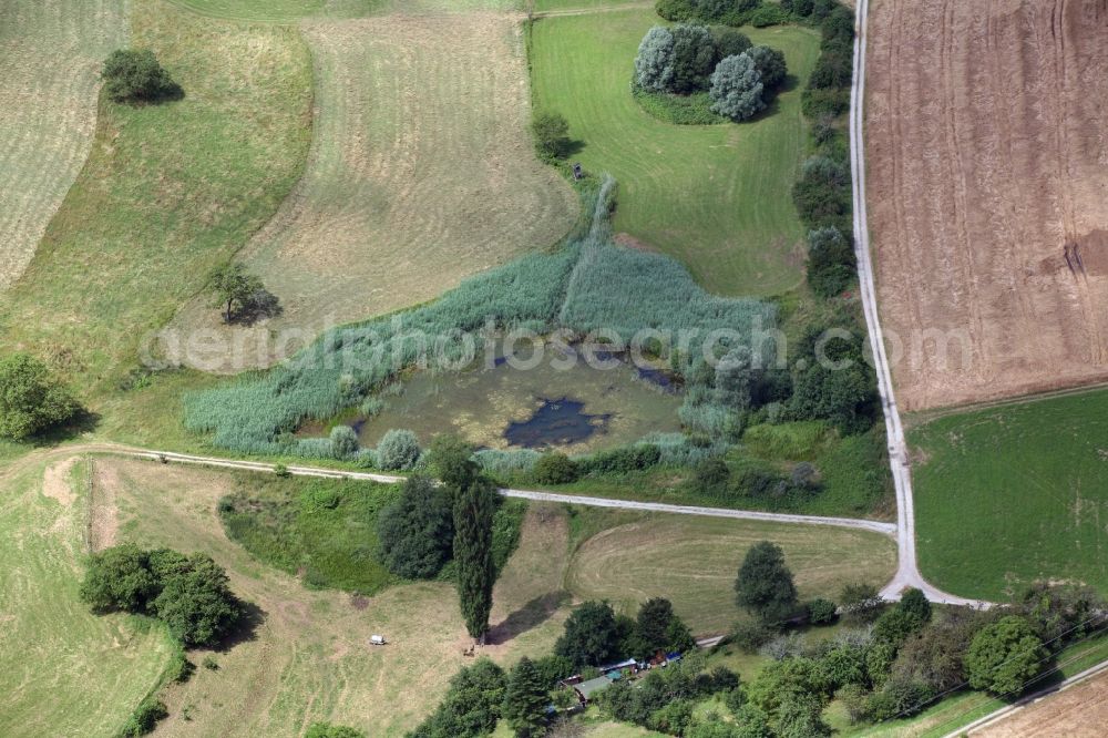 Aerial photograph Rheinfelden (Baden) - Pond and biotope in Rheinfelden (Baden) in the state Baden-Wuerttemberg