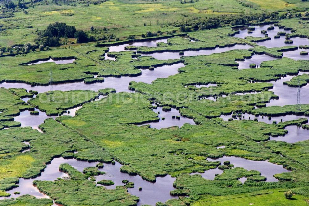 Aerial image Lübben (Spreewald) - Wet area near Luebben (Spreewald) in the state Brandenburg