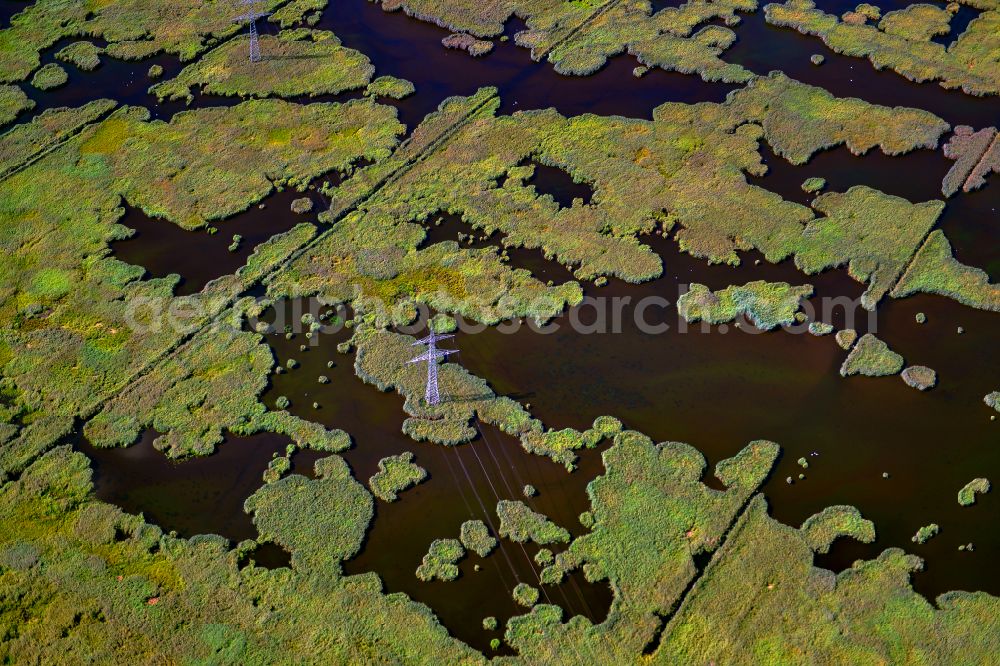 Lübben (Spreewald) from above - Wet area near Luebben (Spreewald) in the state Brandenburg