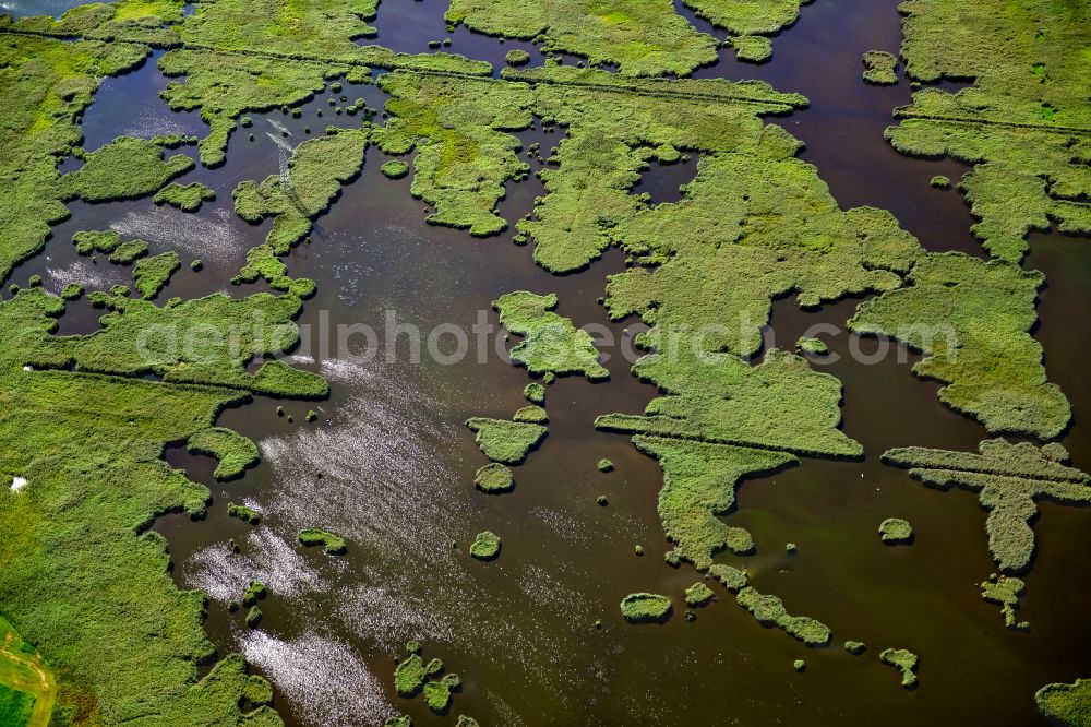 Aerial image Lübben (Spreewald) - Wet area near Luebben (Spreewald) in the state Brandenburg